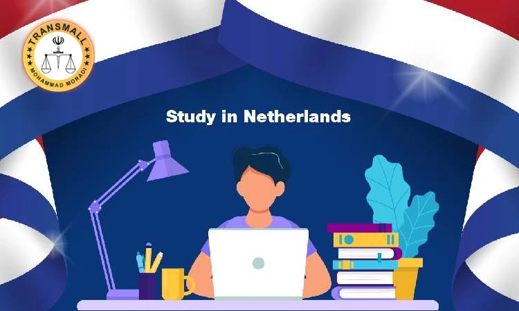 تحصیل در هلند؛ راهنمای جامع اپلای، بورسیه و ویزای تحصیلی