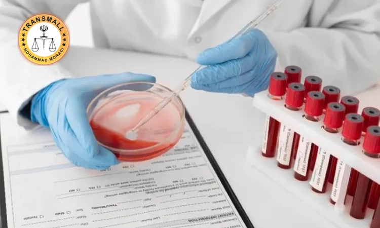 ترجمه رسمی برگ آزمایش پزشکی + نکات مهم، هزینه، زمان و تاییدات ترجمه رسمی برگ آزمایش پزشکی + نکات مهم، هزینه، زمان و تاییدات