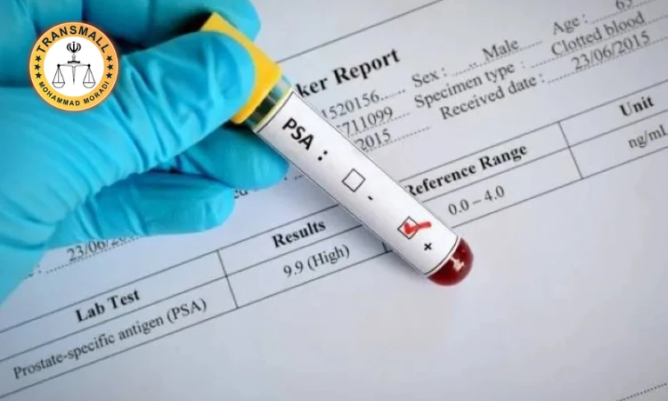 ترجمه رسمی برگ آزمایش پزشکی + نکات مهم، هزینه، زمان و تاییدات ترجمه رسمی برگ آزمایش پزشکی + نکات مهم، هزینه، زمان و تاییدات