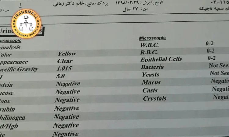 ترجمه رسمی برگ آزمایش پزشکی + نکات مهم، هزینه، زمان و تاییدات ترجمه رسمی برگ آزمایش پزشکی + نکات مهم، هزینه، زمان و تاییدات