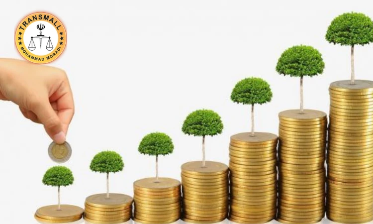 سرمایه گذاری در هلند؛ روش ها، شرایط اخذ اقامت و مزایا برای ایرانیان