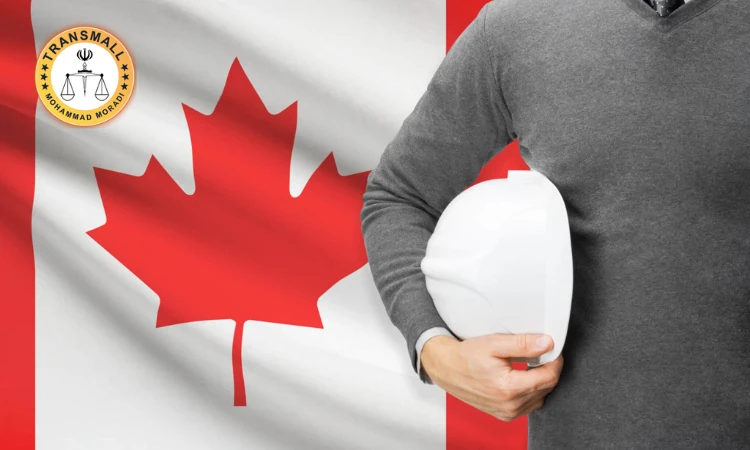 مهاجرت کاری به کانادا؛ راهنمای جامع اخذ ویزای کار و اقامت دائم